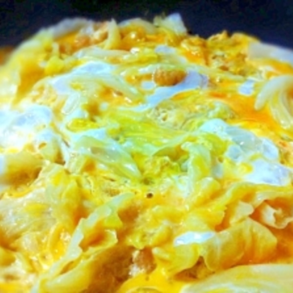 とじ キャベツ 卵 豆いろいろの卵とじのレシピ/作り方：白ごはん.com